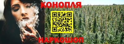 ГАЛЛЮЦИНОГЕННЫЕ ГРИБЫ Камышлов