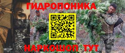 2c-b Кандалакша