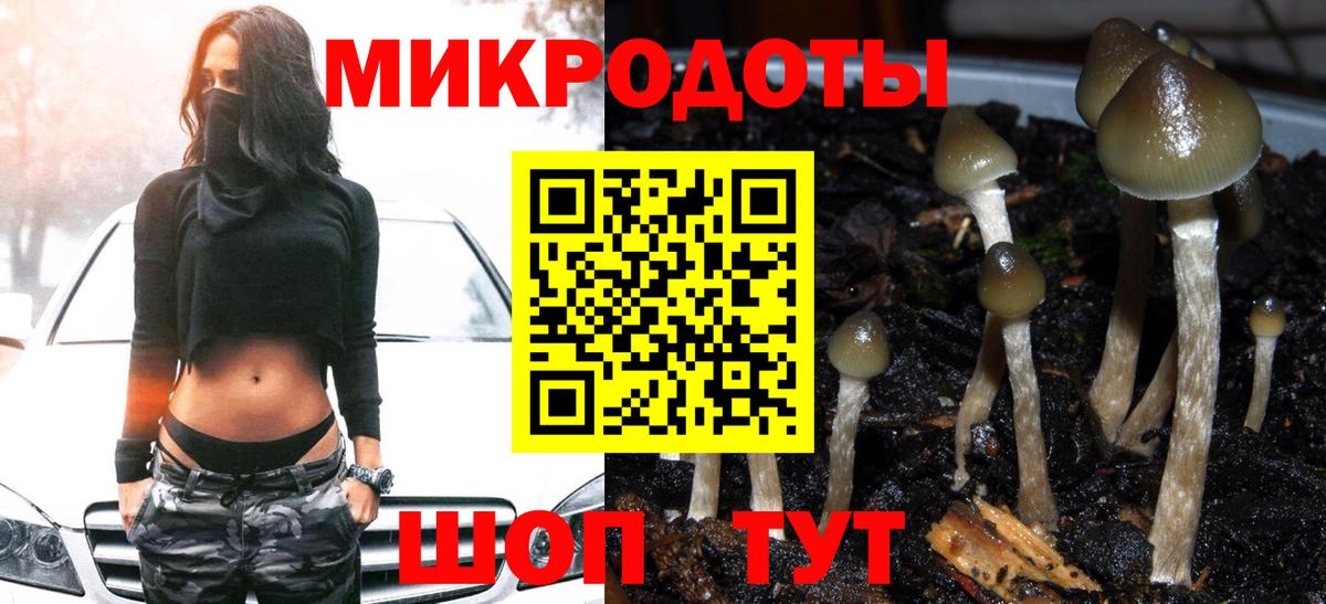 Галлюциногенные грибы GOLDEN TEACHER Красноуфимск